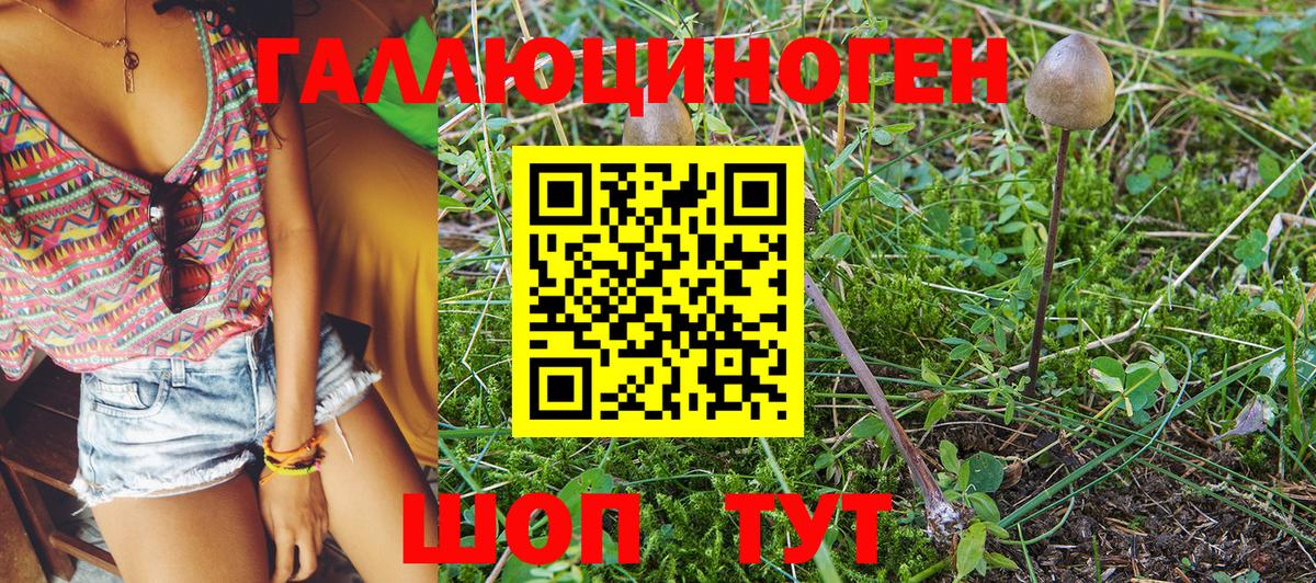 Псилоцибиновые грибы GOLDEN TEACHER Архангельск