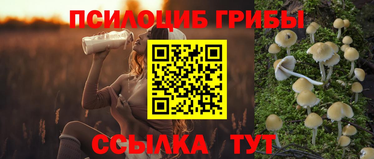 что такое   Псилоцибиновые грибы MAGIC MUSHROOMS  Вход с VPN  Архангельск  Галлюциногенные грибы Magic Shrooms 
